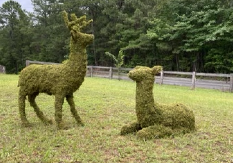 Stag Deer Topiary